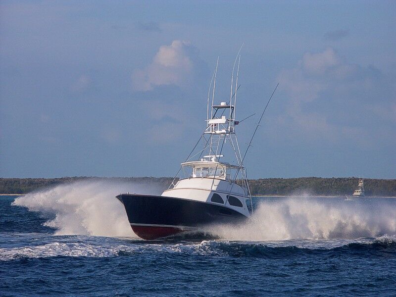 Click to See Next Image